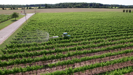 Tractor-Rociando-Viñedos-Verdes-Jóvenes-Con-Productos-Químicos-En-Un-Día-Soleado-De-Verano