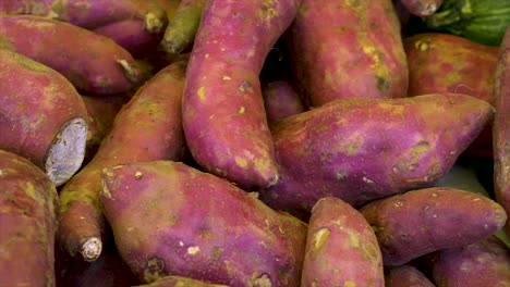 fresh sweet potatoes on display for sale at free fair