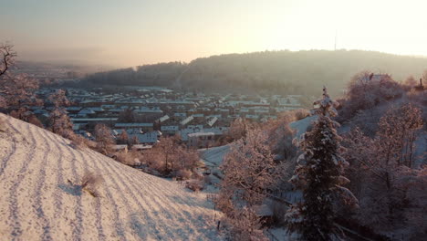 Hermosas-Colinas-Nevadas-Y-Bosques-Y-Techos-De-Winterthur,-Suiza