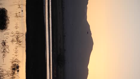 Vertical-shot-of-solo-bird-flying-above-water-with-mountain-in-background-during-sunset-time