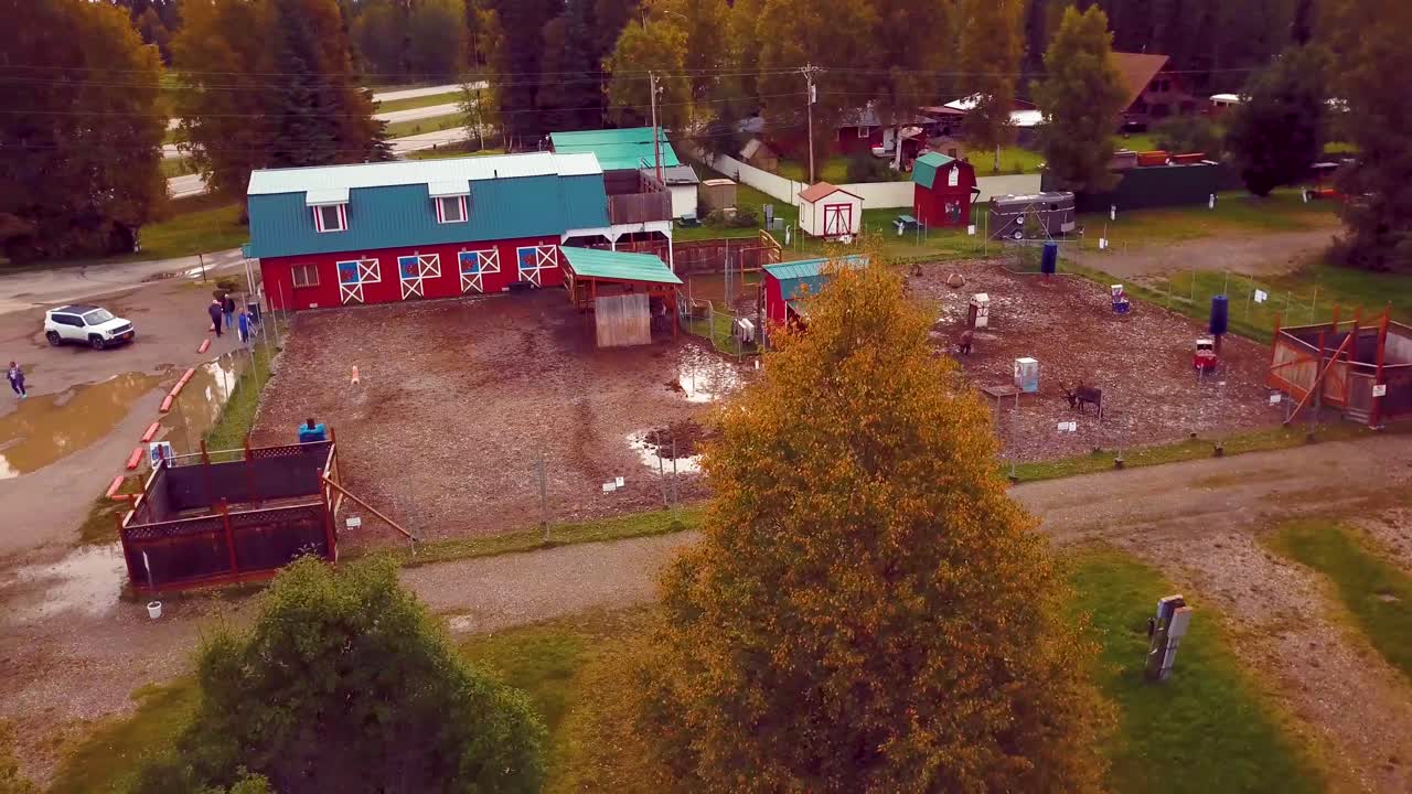 4K Drone Video of Caribou Reindeer at Antler Academy in North Pole, Alaksa during