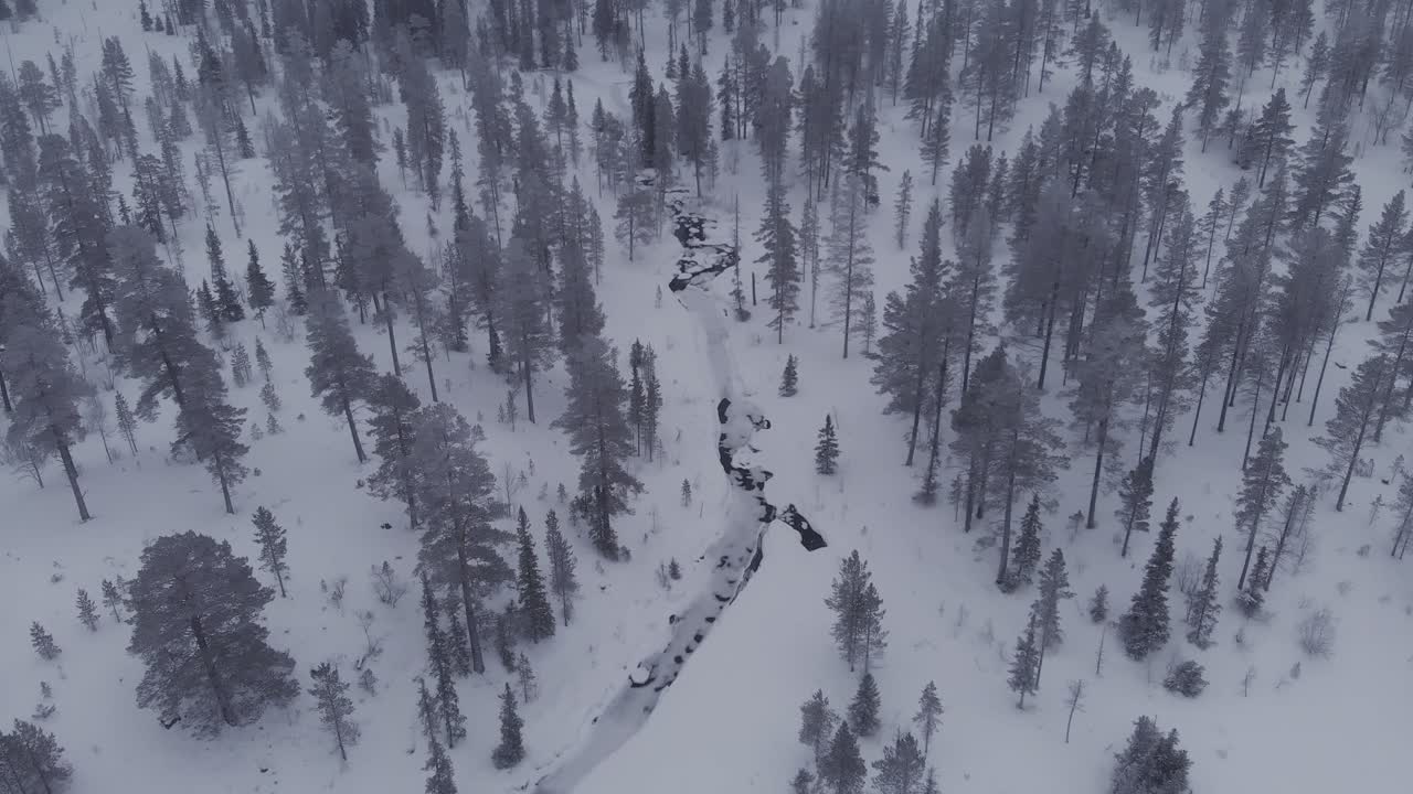 Vista aerea di una foresta ghiacciata con alberi innevati a Idre, Svezia, durante una giornata nuvolosa con nebbia-6.