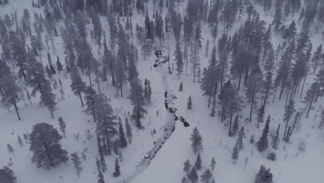 antena de un bosque helado con árboles cubiertos de nieve en idre, suecia durante un día nublado con niebla-6