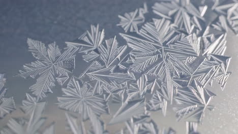 intricate frost patterns on a window
