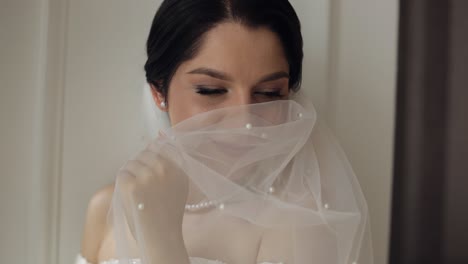 beautiful bride in a white veil