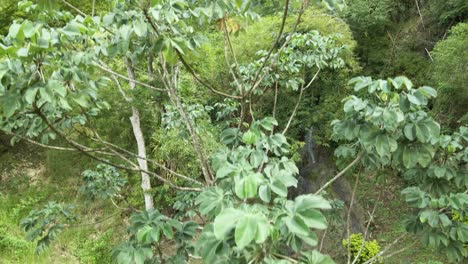 Absteigende-Antenne-Eines-Mädchens,-Das-Am-Straßenrand-Im-Wald-Sitzt,-Mit-Einem-Wasserfall,-Der-Den-Berg-Hinunterstürzt,-Auf-Der-Karibischen-Insel-Tobago