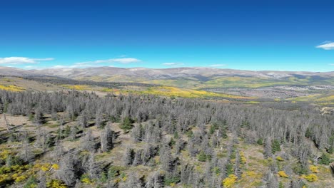 Aerial-View-of-Forest-With-Mountains-in-Background