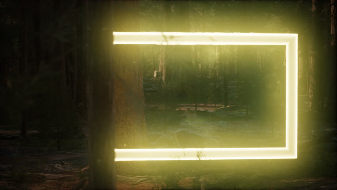Neon glowing rectangle frame in the night forest