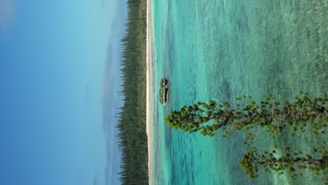 Flying-above-Columnar-Pine-forest-towards-inlet,-Isle-of-Pines