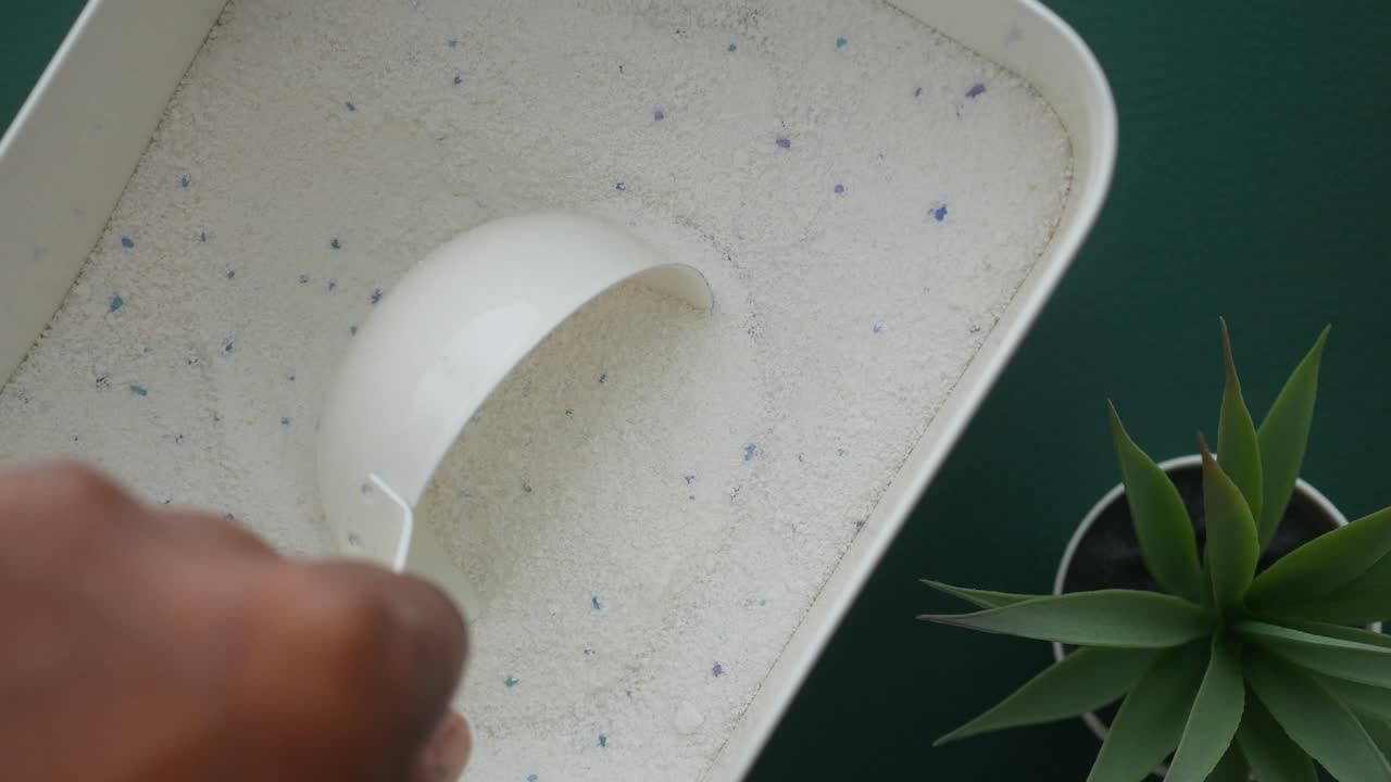 Laundry detergent with plant