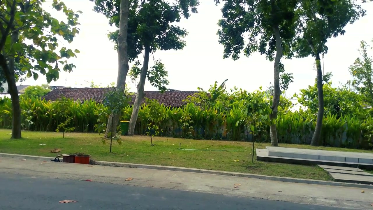 Pemandangan Sudut Rendah Pohon Hijau Rimbun dengan Langit Berawan