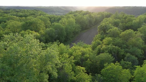 aerial view of a scenic valley with lush forest