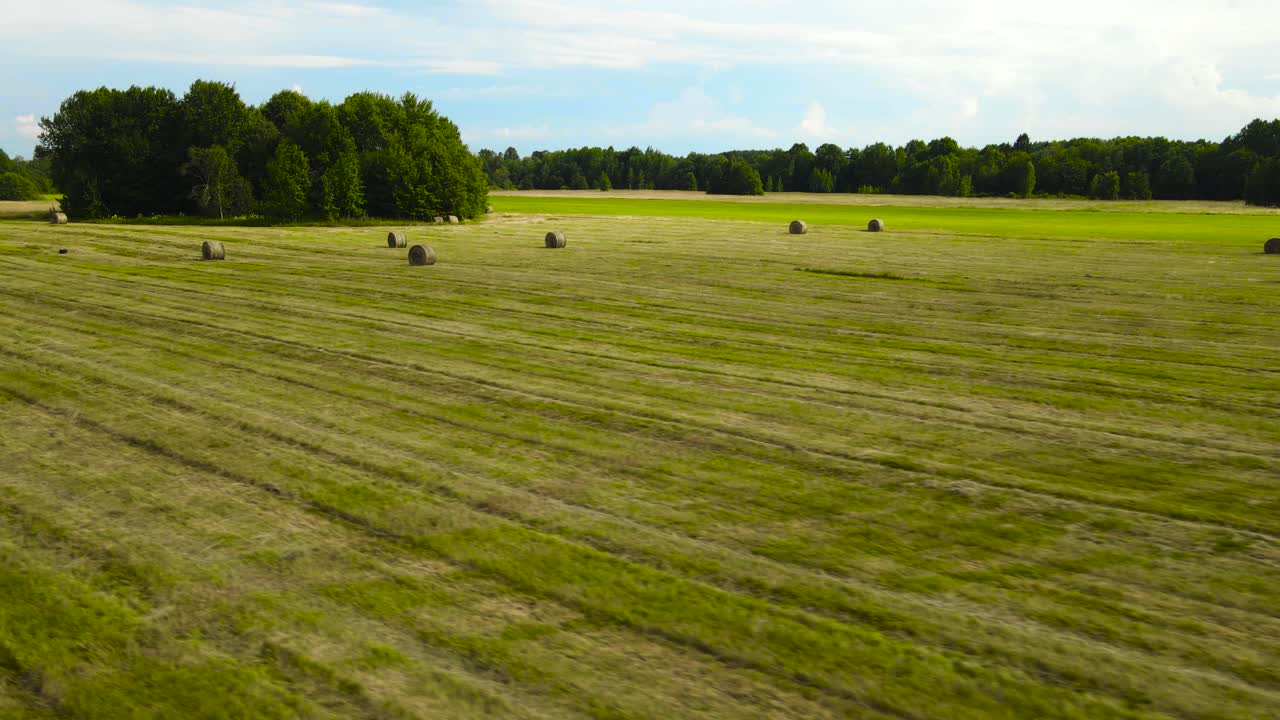 Gorgeous aerial drone footage gliding and flying over freshly made hay bales or rolls during a summer or autumn evening in a farmfield that is green and yellow, green forest visible in the background