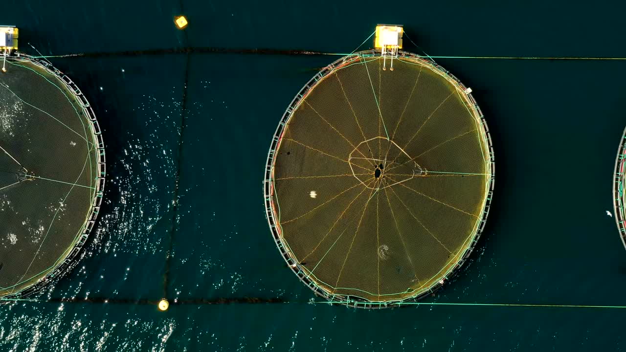 노르웨이의 연어 농장  ⁇ 시