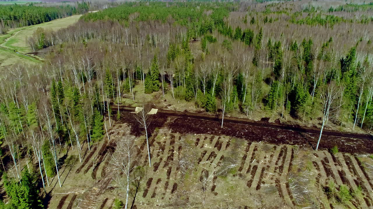 Overflyvning med drone over ødelagt skov efter stormfuld nat - Skovrydning i naturen - Klimaforandringer på Jorden.