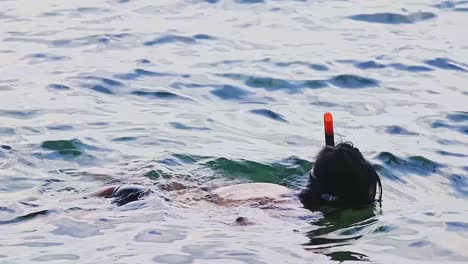 una mujer flotando libremente en la superficie del mar mientras bucea en la isla de koh sdach en camboya