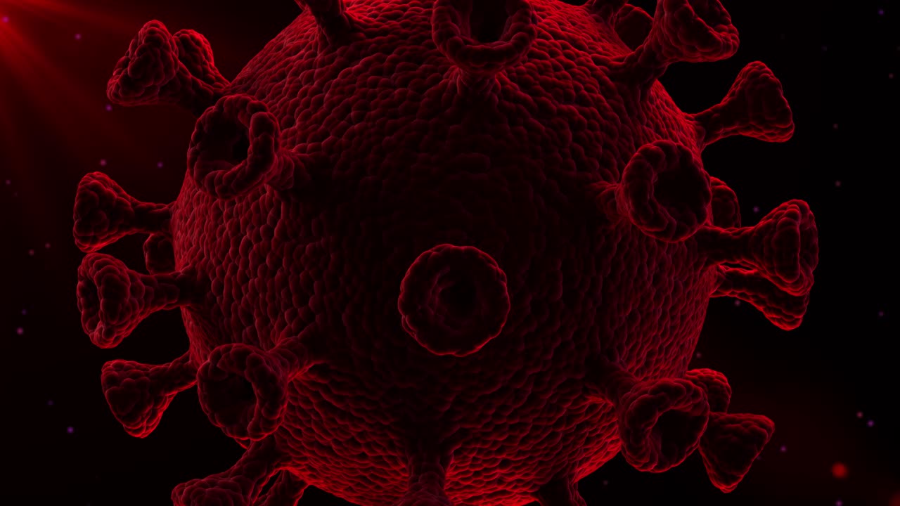 movimientos pulsantes del coronavirus en luz roja. animación en bucle de alta calidad 4k.