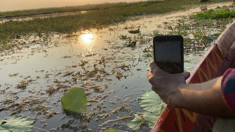 a boy shooting sunset with his mobile at a rural village lake covered with water lilies. beautiful scene of a sunset at a lake in india.