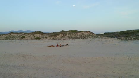 Couple-with-dog-on-sandy-beach-near-waving-sea