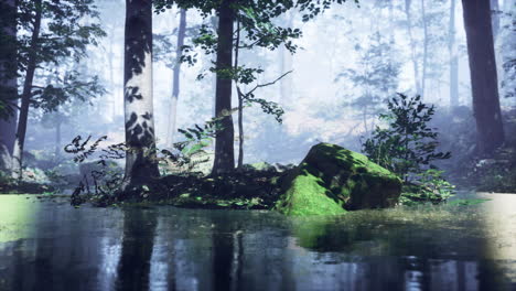 Mist-on-pond-in-forest-with-fog