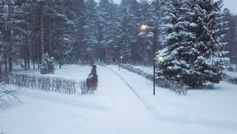 snowy park path in winter