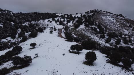 Stunning-snowy-white-mountain-landscape-with-sparse-tree-vegetation,-aerial