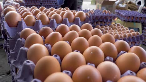 a stack of organic egg cartons for sale at the traditional market in machachi, ecuador