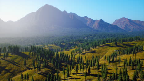 Berge-Bedeckt-Mit-Wäldern-Im-Frühen-Morgennebel