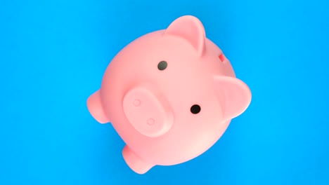 top view: pink piggy bank with money rotates on a blue background