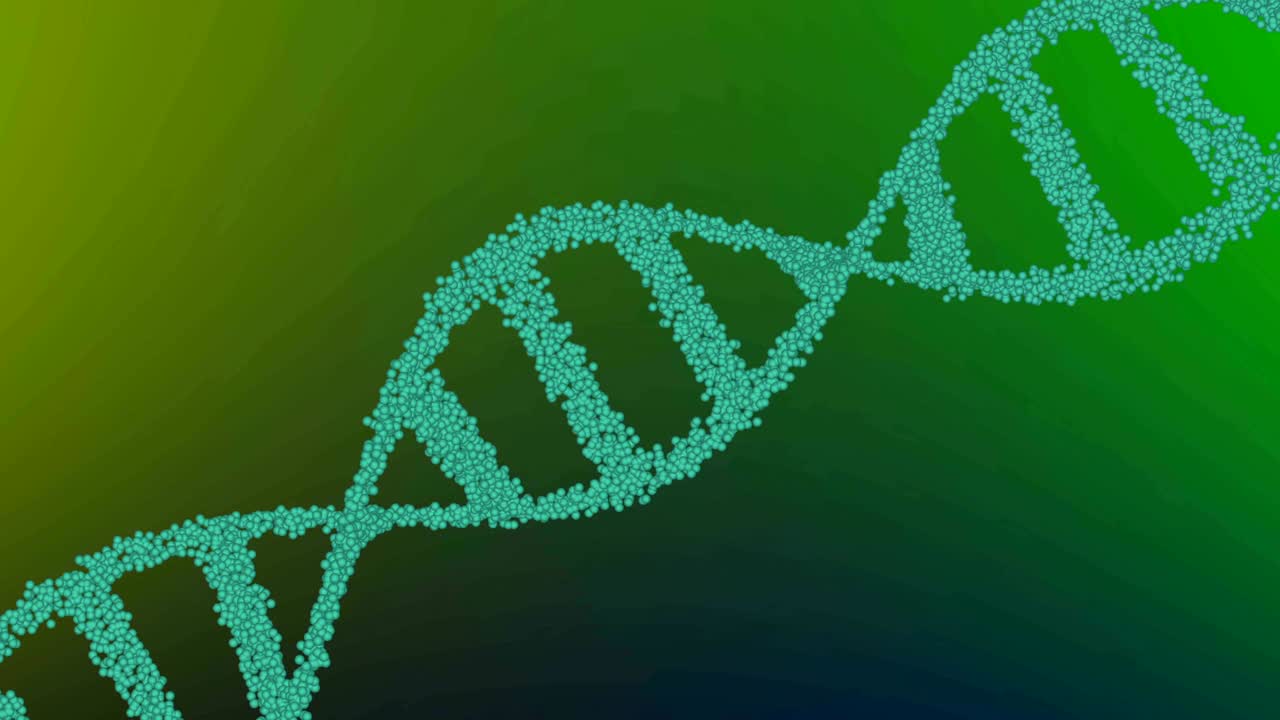 la molécula de adn se da la vuelta.