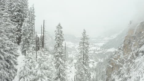 Drone-flying-between-snow-covered-pine-trees-and-revealing-small-town-in-valley