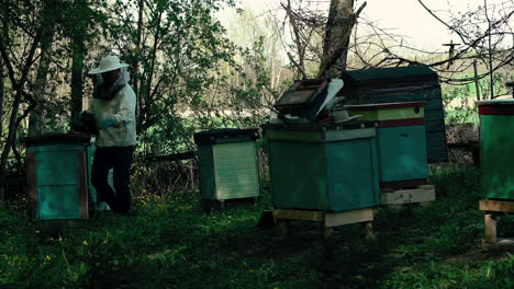 Imker-Arbeitet-Mit-Bienen-Und-Bienenstöcken-Auf-Dem-Bienenstand
