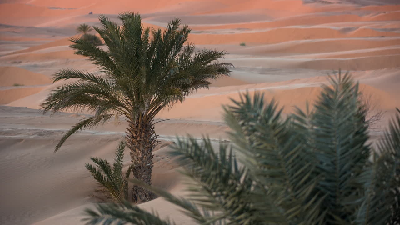 메르주가 사하라 사막 01