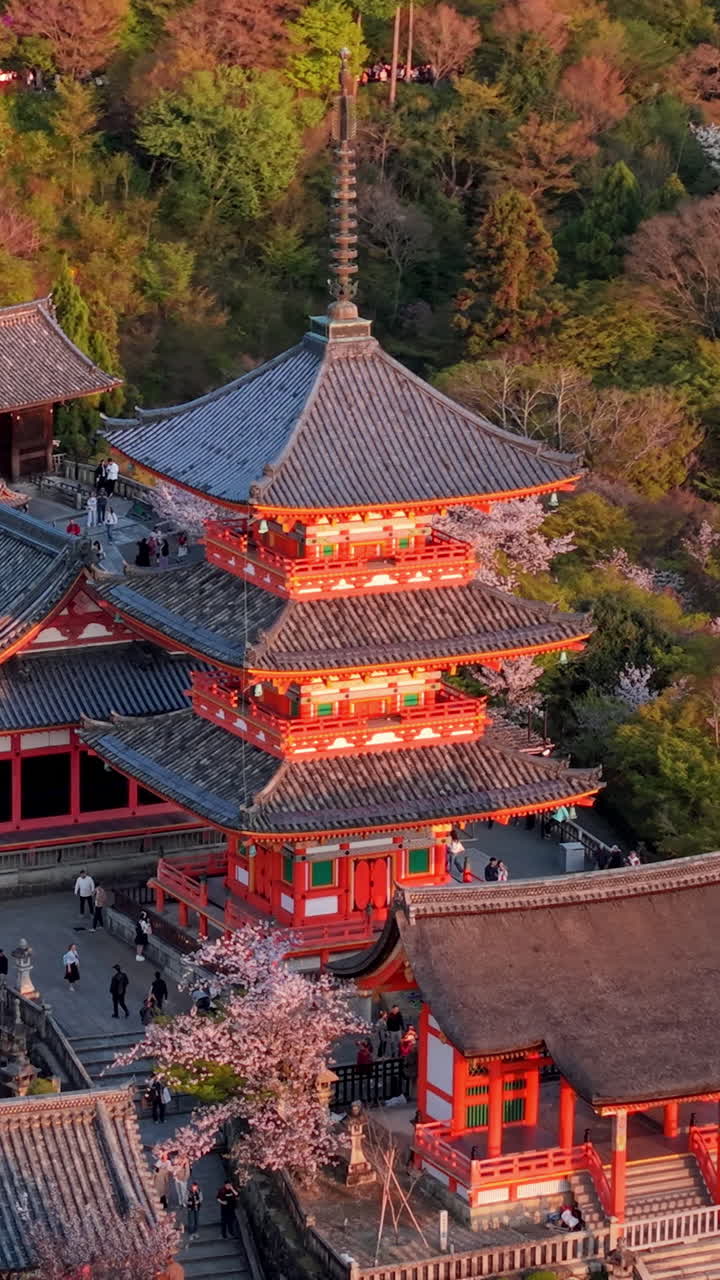 Aerial drone view of the Kiyomizu-dera temple at sunset in Kyoto, Japan