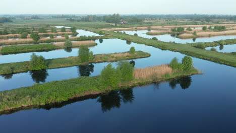 Paisaje-De-Pólder-Holandés-Con-Reflejo-De-Espejo-En-Weerribben-Cerca-De-Ossenzijl-En-Frisia,-Países-Bajos