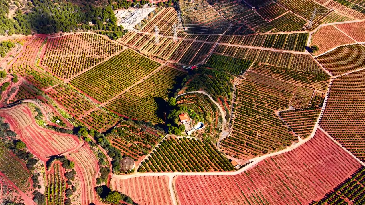 Appezzamenti agricoli geometrici con alberi di arancio e terrazzamenti di terra rossa. Un piccolo edificio rurale tra vegetazione verde e linee elettriche. Vista aerea di campi agricoli terrazzati e agrumeti in Spagna.