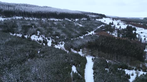 aerial view of snow-covered mountain - ticknock forest in the dublin mountains. dense pine trees and winding trails create a stunning winter landscape.