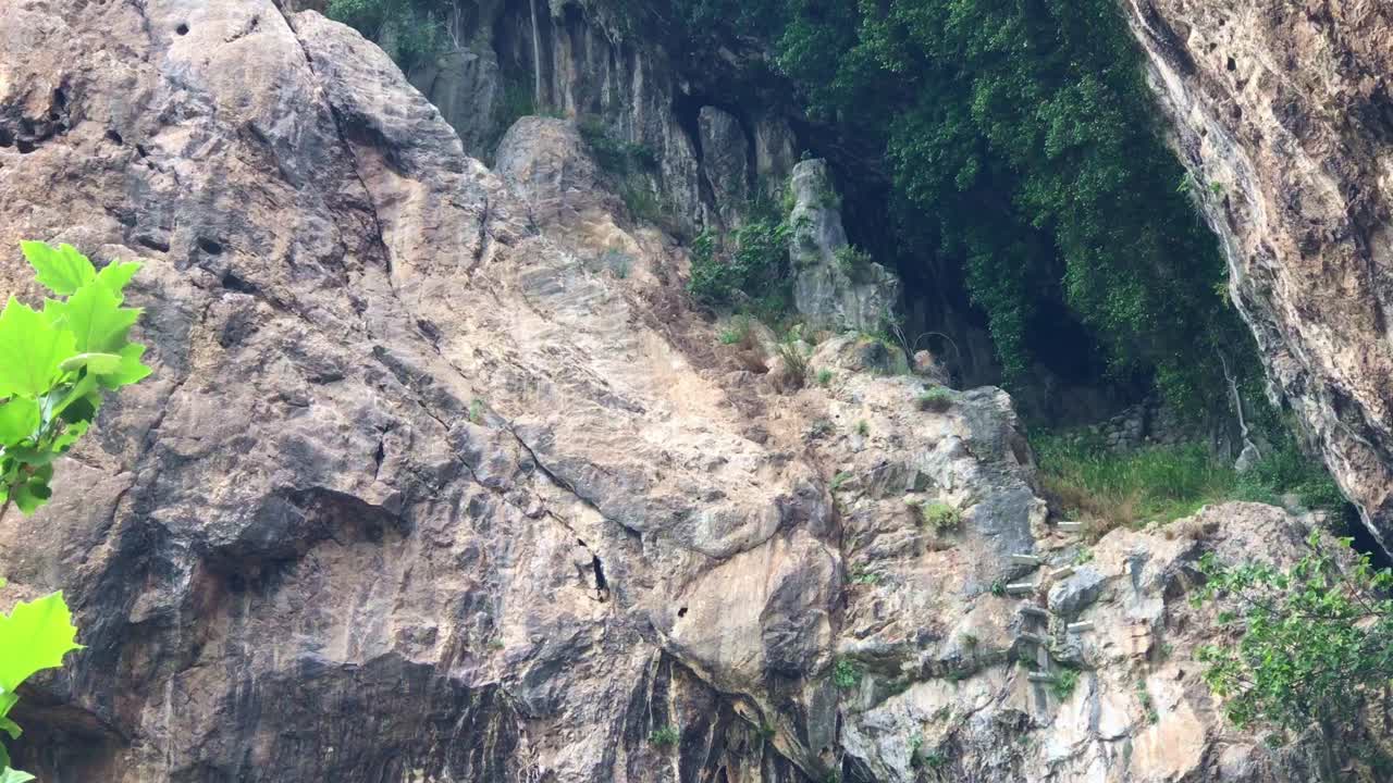 Natural rock formation and lush flora