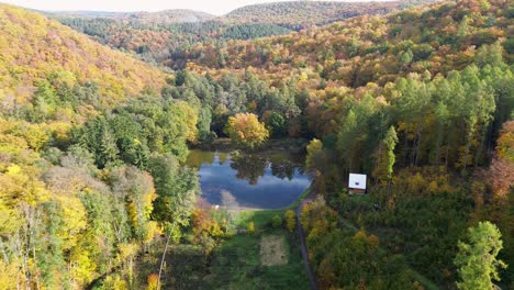 the-trees-in-the-forest-around-the-small-pond-are-colored-in-all-sorts-of-colors