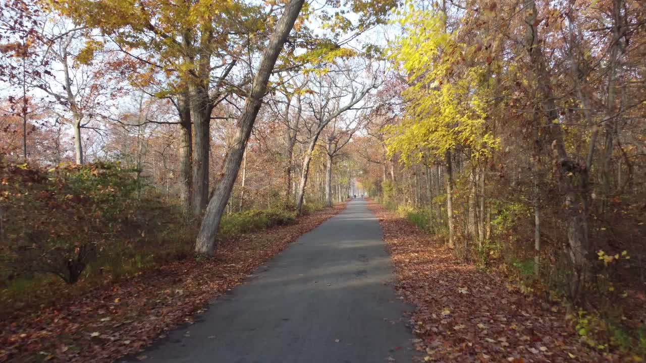 Dolly through fall foliage leaves around walking path and barren trees