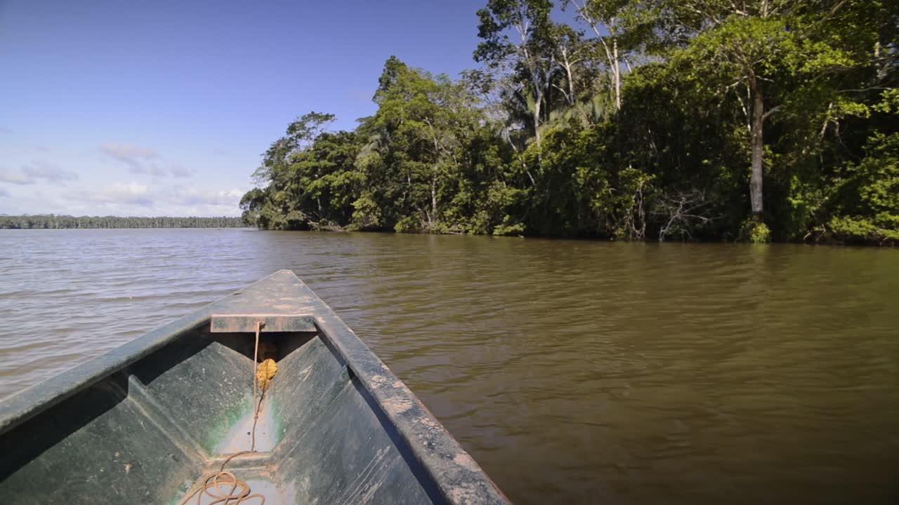 View from a canoe on the Amazon river, through the rainforest, Peru