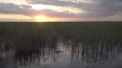 beautiful south florida everglades sunset with green sawgrass and still water