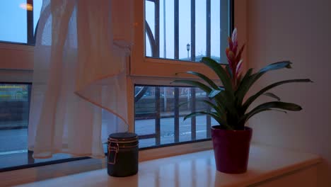 Timelapse: interior of a house, a plant in front of the window while outside in the street the cars pass fast. 4K Resolution