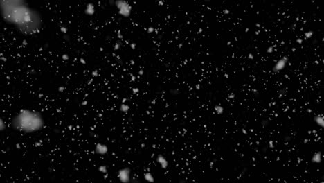 caída de nieve lenta aislada en fondo negro en 4k para ser utilizado para la composición, gráficos en movimiento, copos de nieve grandes y pequeños, nieve caída aislada, alfa, etéreo, intenso, tormenta.