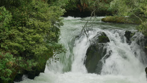 Breiter-Schuss-Frischer-Tutea-fälle,-Die-In-Den-Kaituna-fluss-Fließen,-Umgeben-Von-Grüner-Idyllischer-Landschaft,-Neuseeland