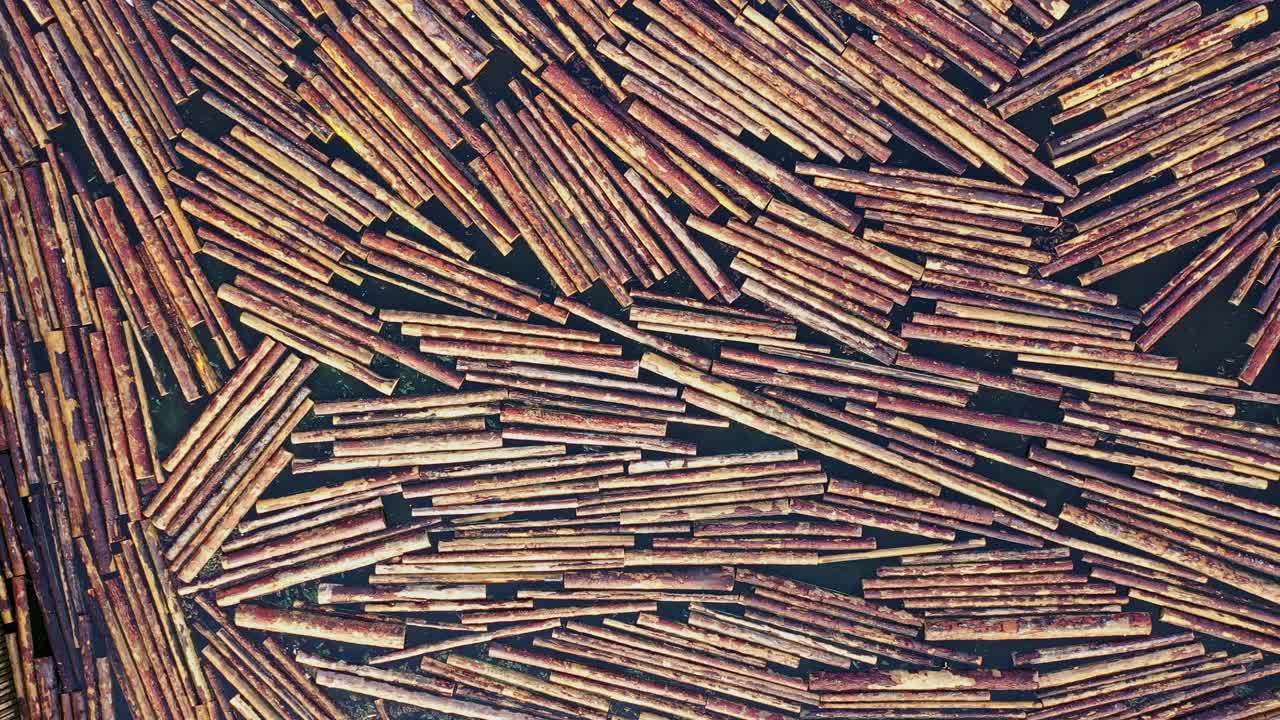 Sunrise illuminates massive collection of floating logs, timber industry, DRONE