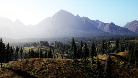 Beautiful-mountain-view-with-pine-forest