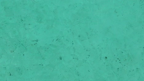 blue  sea  water. crystal clear ocean rippling