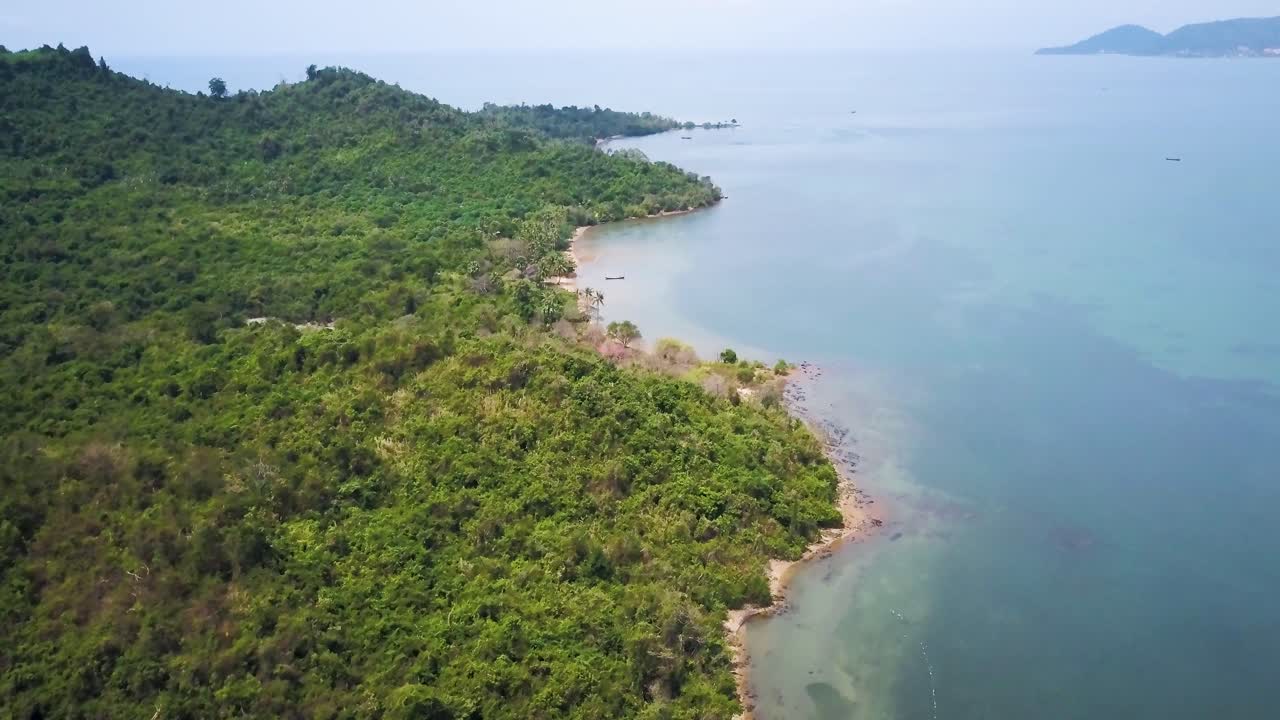 Aerial view of a coastline with forest