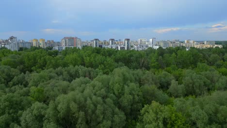 horizonte de la ciudad de varsovia, edificios de gran altura, denso bosque en primer plano, aérea